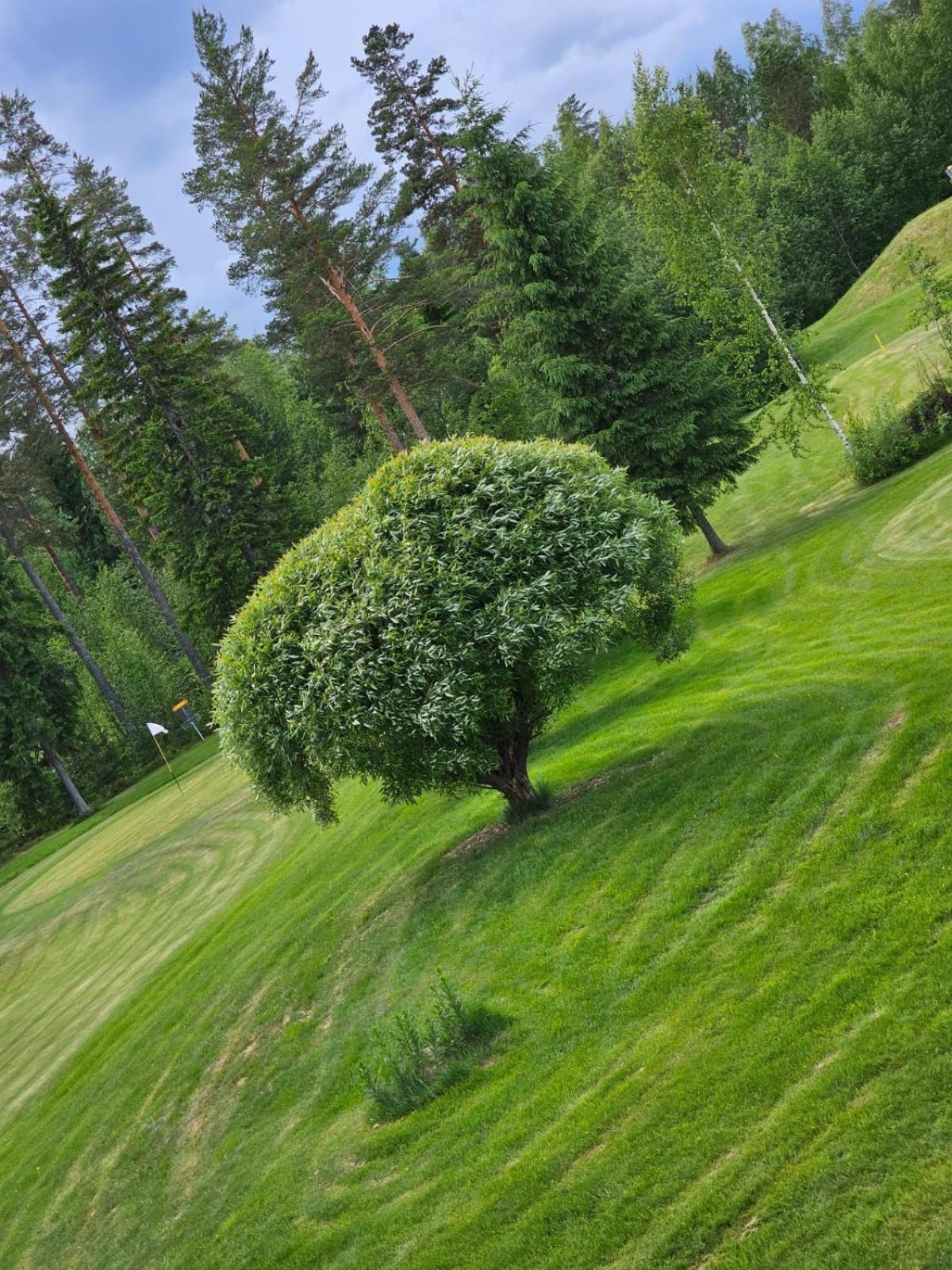 Kesaeaitat Camping Ähtäri